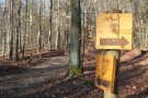 hölzerner Wegweiser mit Spechtsymbol im Wald