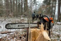 Motorsäge in winterlichem Wald