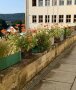 Blumenkästen mit Zinnien auf Brüstung