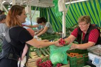 Eine Marktfrau übergibt am Stand Salat an Kundin.