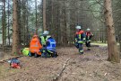 Feuerwehrmänner im Wald