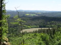 Ausblick Waldlandschaft