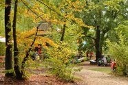 Menschen sitzen an Biertischbänken im Herbstwald