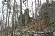 Frostiger Wald mit Felsen