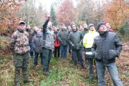 Eine Gruppe von Menschen steht im Wald. Der Referent zeigt mit der Hand auf etwas weiter oben außerhalb des Bildes.