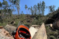 Sturmwurf bei Regenstauf mit Schutzhelm auf Holzhaufen im Vordergrund, und Freifläche im Hintergrund.