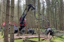 Harvester im Einsatz