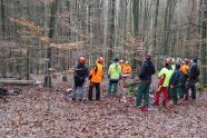Eine Gruppe steht im Wald. Motorsägen liegen auf dem Waldboden.