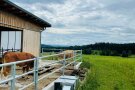 Blick vom Stall in Richtung Oberpfälzer Wald