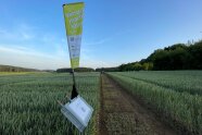 Landessortenversuch Hartenhof 2023
