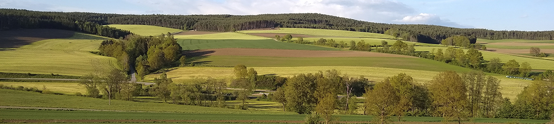 Landschaft