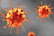 Corona Virus Darstellung